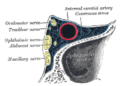 Thumbnail for version as of 17:28, 18 May 2026