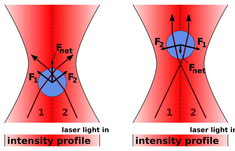 File:Optical trap focused.svg