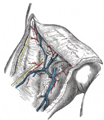 Thumbnail for version as of 17:28, 18 May 2026