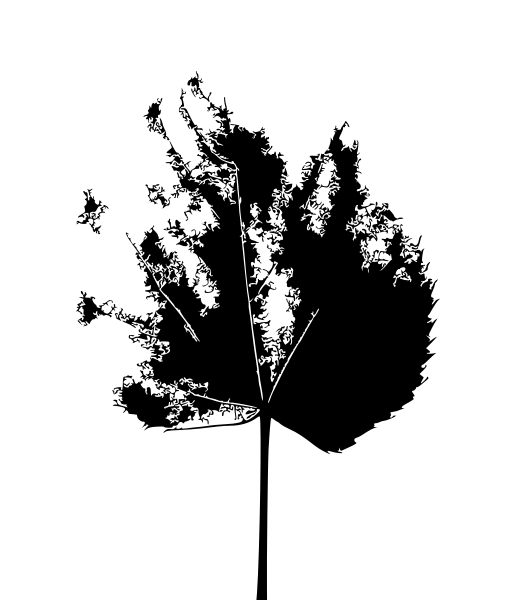 File:LeafIcon.svg