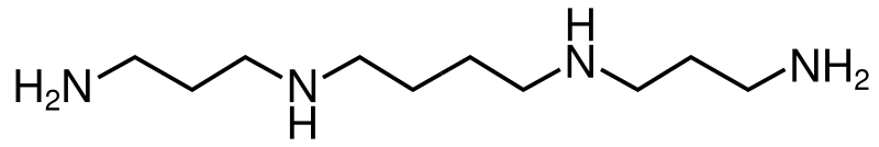 File:Spermine.svg