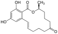 Thumbnail for version as of 19:03, 22 May 2026