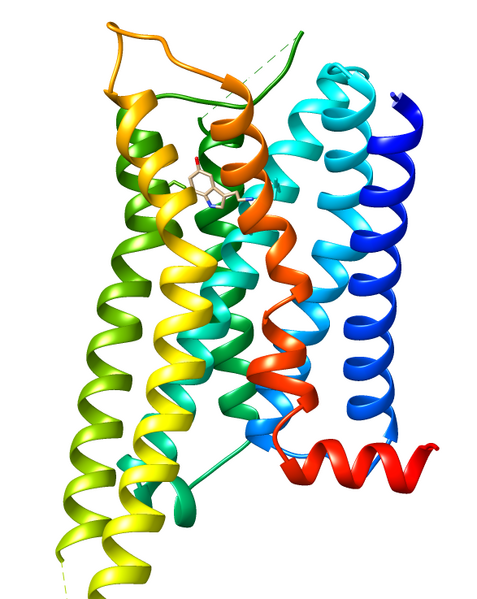 File:7E32 5-HT1D receptor.png