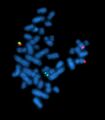 Thumbnail for version as of 02:27, 19 May 2026