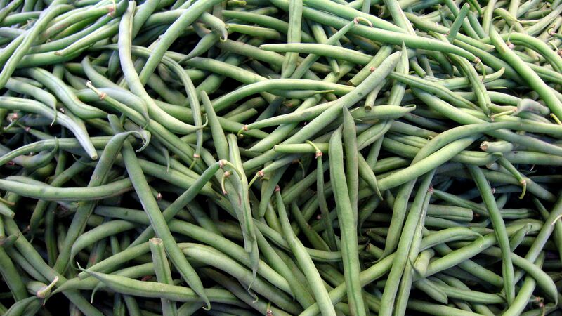 File:Green beans 169clue.jpg