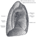 Thumbnail for version as of 17:28, 18 May 2026