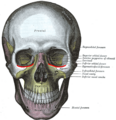 Thumbnail for version as of 13:40, 23 May 2026