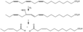 Thumbnail for version as of 15:41, 25 May 2026