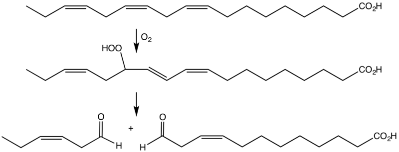 File:O2aseLyaseFatty.png