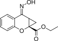 Thumbnail for version as of 11:33, 19 May 2026