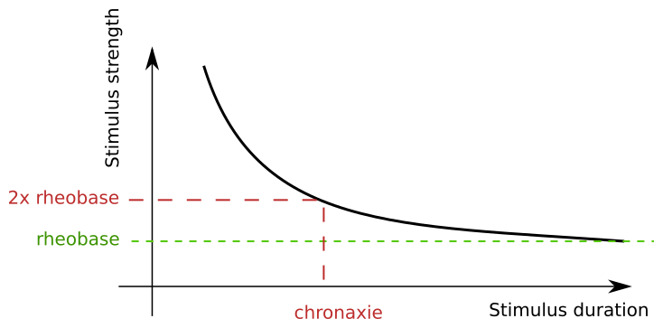 File:Rheobase chronaxie.svg