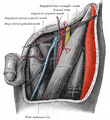 Thumbnail for version as of 13:40, 23 May 2026