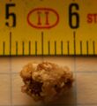 Thumbnail for version as of 02:27, 19 May 2026