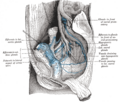 Thumbnail for version as of 17:28, 18 May 2026