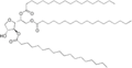 Thumbnail for version as of 19:03, 22 May 2026