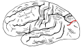 Thumbnail for version as of 22:26, 8 June 2026