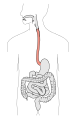 Thumbnail for version as of 03:29, 5 June 2026