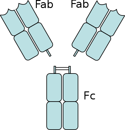 File:2fab fc.svg