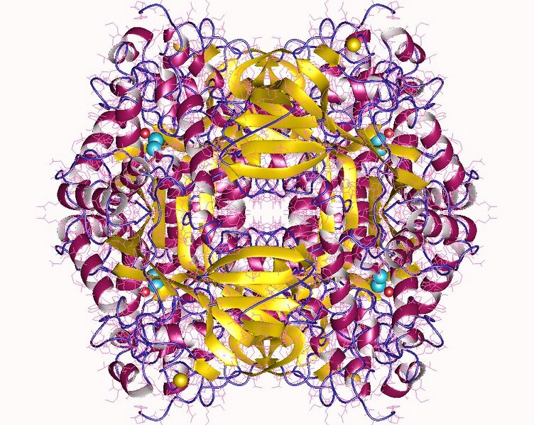 File:2vr2.jpg
