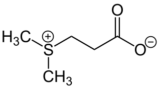 File:Dimethylsulfoniopropionate Structural Formula V1.svg