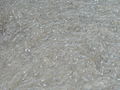 Thumbnail for version as of 03:21, 5 June 2026