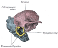 Thumbnail for version as of 17:28, 18 May 2026