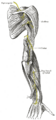 Thumbnail for version as of 17:28, 18 May 2026