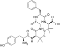 Thumbnail for version as of 14:55, 19 May 2026