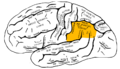 Thumbnail for version as of 12:49, 29 May 2026