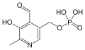 Thumbnail for version as of 00:59, 19 May 2026