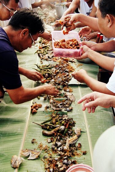 File:Boodle Fight (Baler, Aurora).jpg