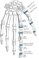 Thumbnail for version as of 17:28, 18 May 2026