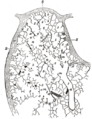 Thumbnail for version as of 17:28, 18 May 2026