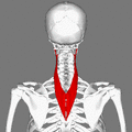 Thumbnail for version as of 22:27, 8 June 2026