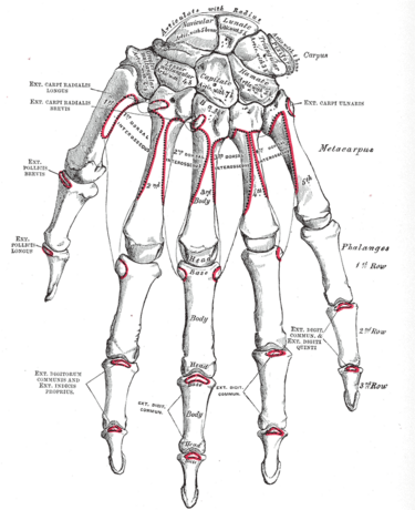 File:Gray220.png