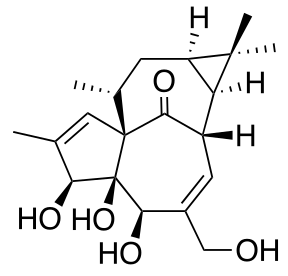 File:Ingenol.svg