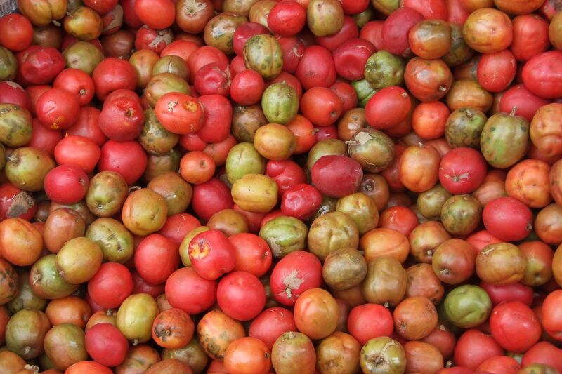 File:Jocote fruit.jpg