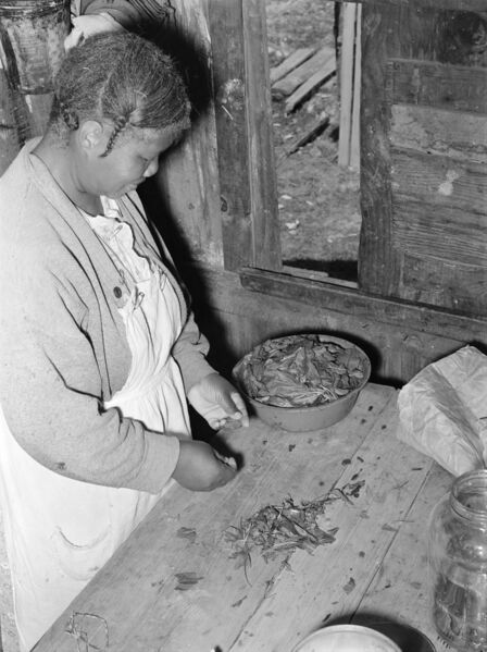 File:Woman preparing poke salad.jpg