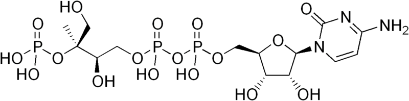 File:4-diphosphocytidyl-2-C-methyl-D-erythritol 2-phosphate.png