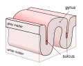 Thumbnail for version as of 03:32, 5 June 2026