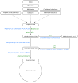 Propionate pathway