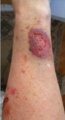 Thumbnail for version as of 22:36, 8 June 2026