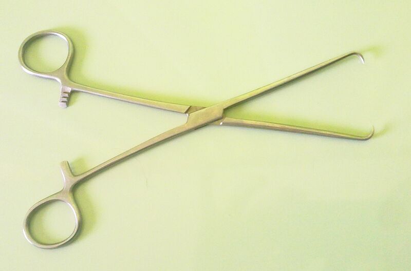 File:Tenuculum 02.jpg