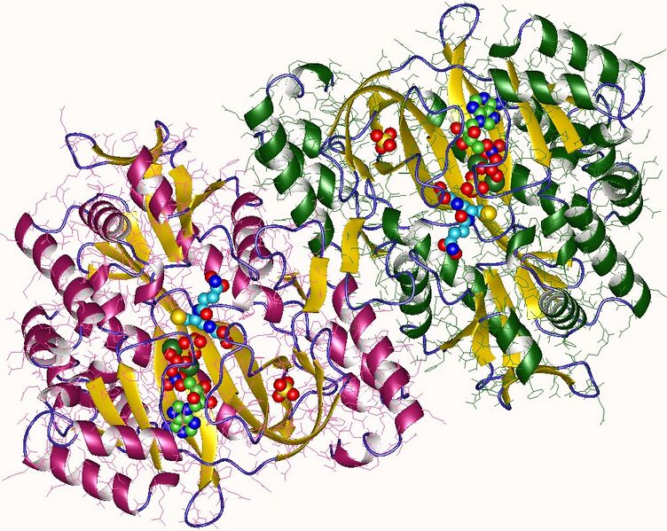 File:2hgs.jpg