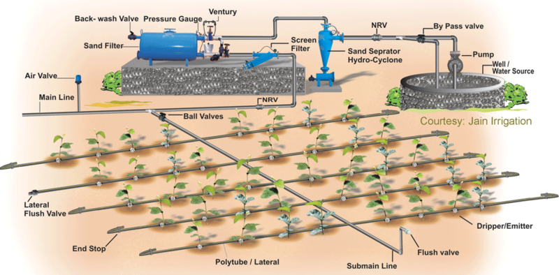 File:Dripirrigation.gif