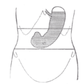 Thumbnail for version as of 17:28, 18 May 2026
