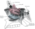 Thumbnail for version as of 17:28, 18 May 2026