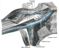 Thumbnail for version as of 17:28, 18 May 2026