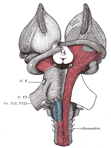 File:Gray689.png