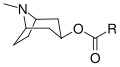 Thumbnail for version as of 01:55, 22 May 2026